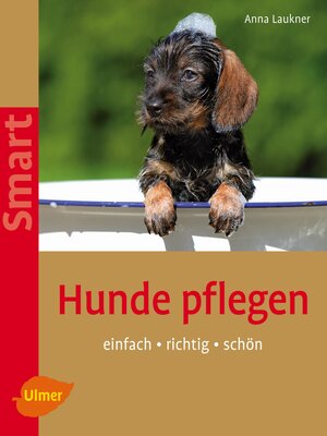 cover image of Hunde pflegen